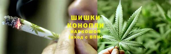 молекула духа Алзамай