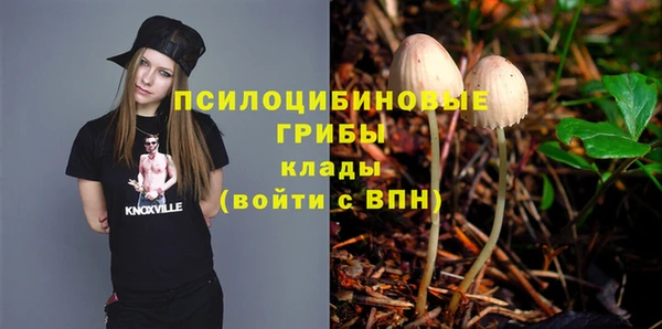молекула духа Алзамай