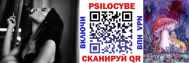 Купить где  Сураж  Псилоцибиновые грибы Psilocybine cubensis 