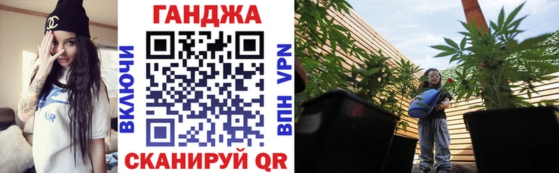 Купить  Сураж  Каннабис конопля 